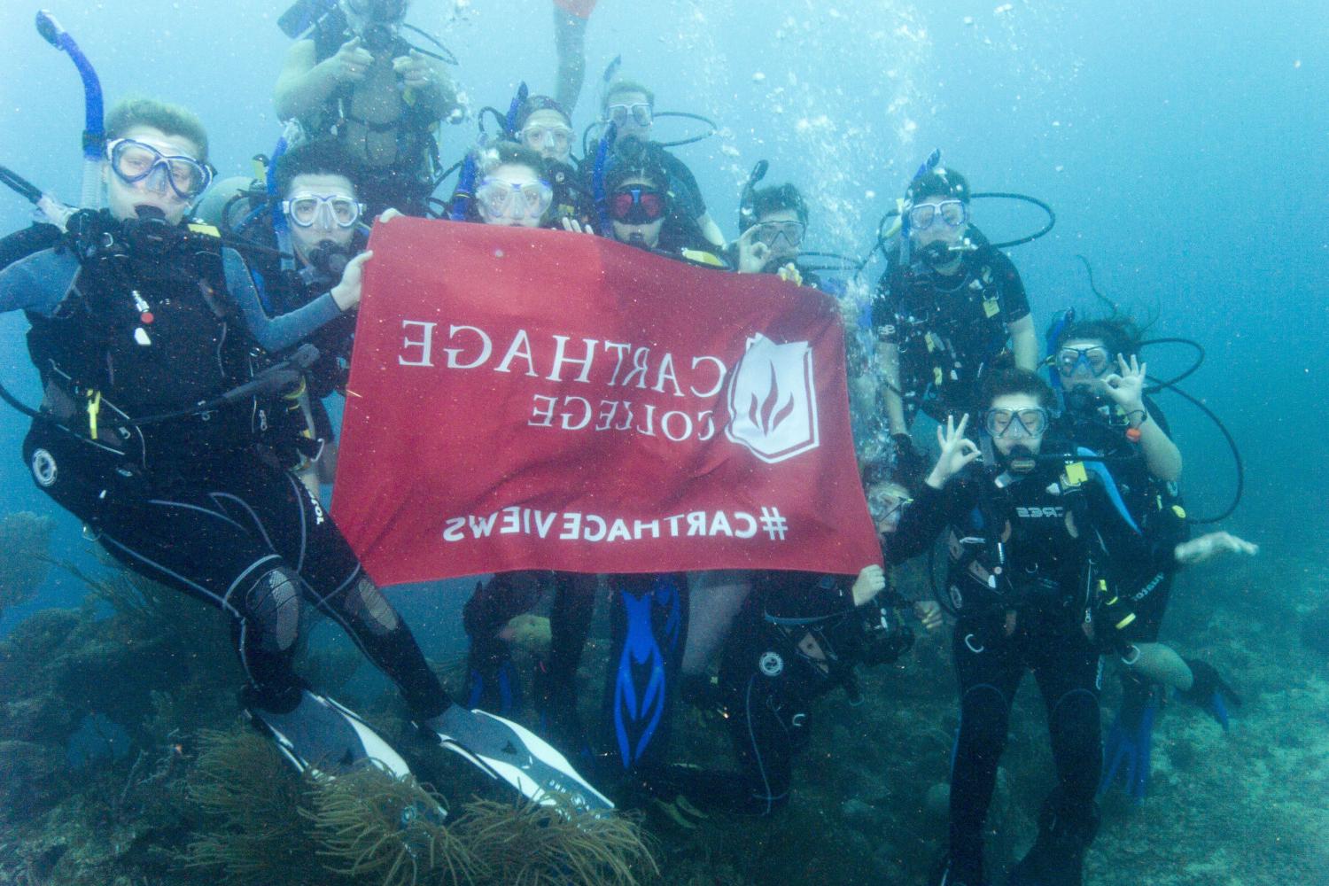 学生们手持<a href='http://bcu.uncsj.com'>bv伟德ios下载</a>旗帜，在j学期洪都拉斯游学之旅中潜水.
